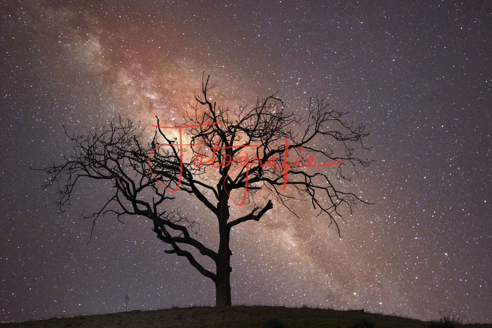 Photoshop   10